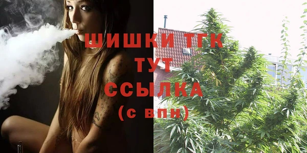 МДПВ Пестово